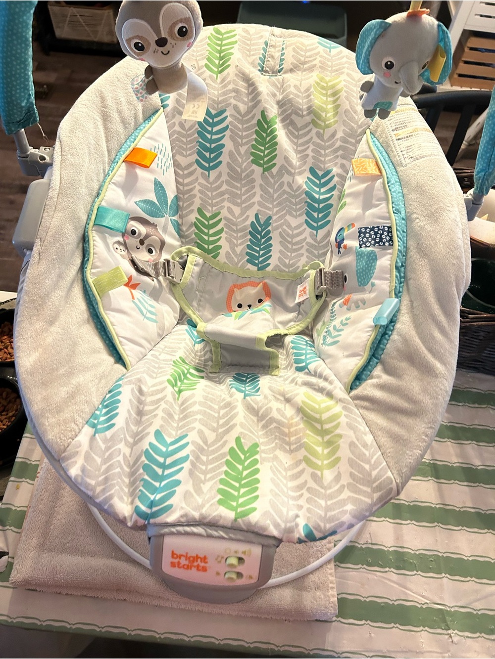 Teal & Green Infant Bouncer Seat